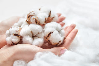 Top 5 Reasons Why Organic Cotton Is Better for Babies Buzzee Babies